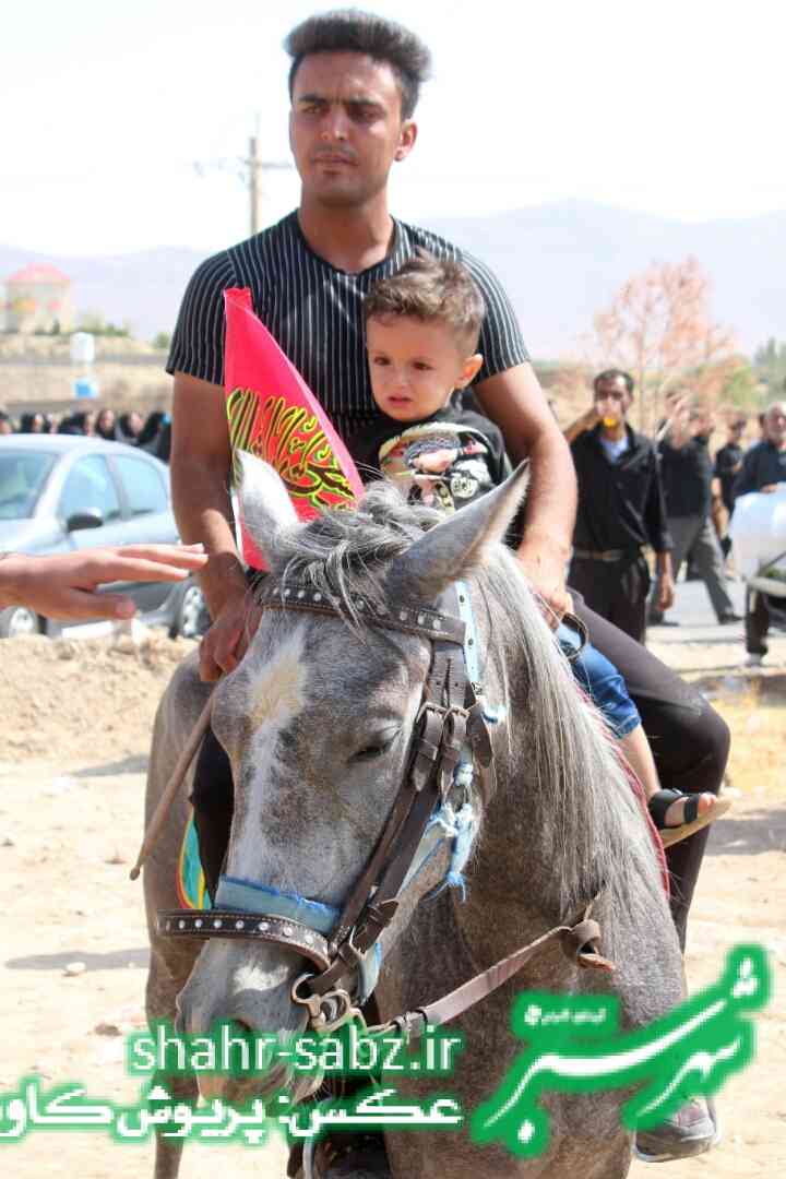 29-06-1397 عاشورا خانه زنیان-عکس: پریوش کاویانی