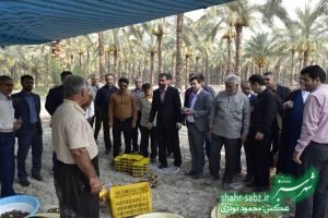 فرماندار کازرون در خشت/ عکس: محمود نوذری