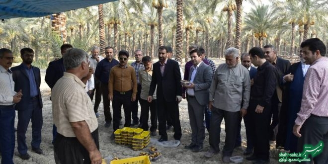 فرماندار کازرون در خشت/ عکس: محمود نوذری