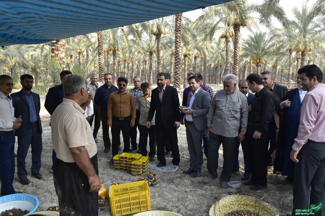 فرماندار کازرون در خشت/ عکس: محمود نوذری