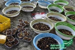 فرماندار کازرون در خشت/ عکس: محمود نوذری