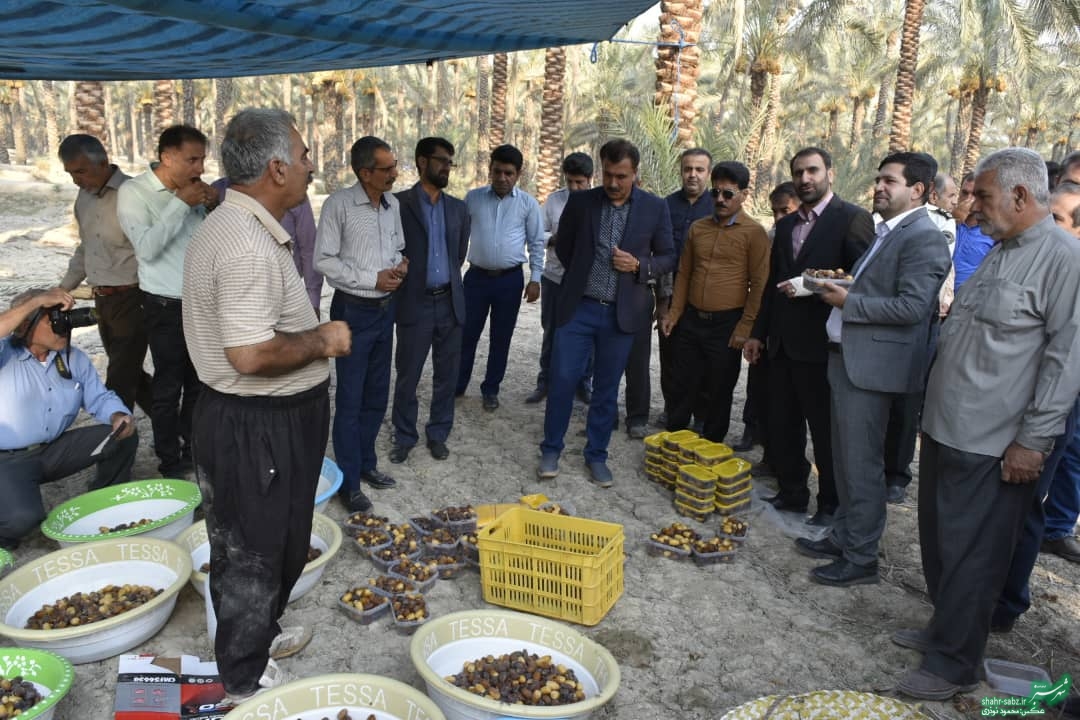 فرماندار کازرون در خشت/ عکس: محمود نوذری