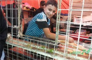 پیاده روی اربعین حسینی/ آبان 1397/ عکس: فریده شعراء