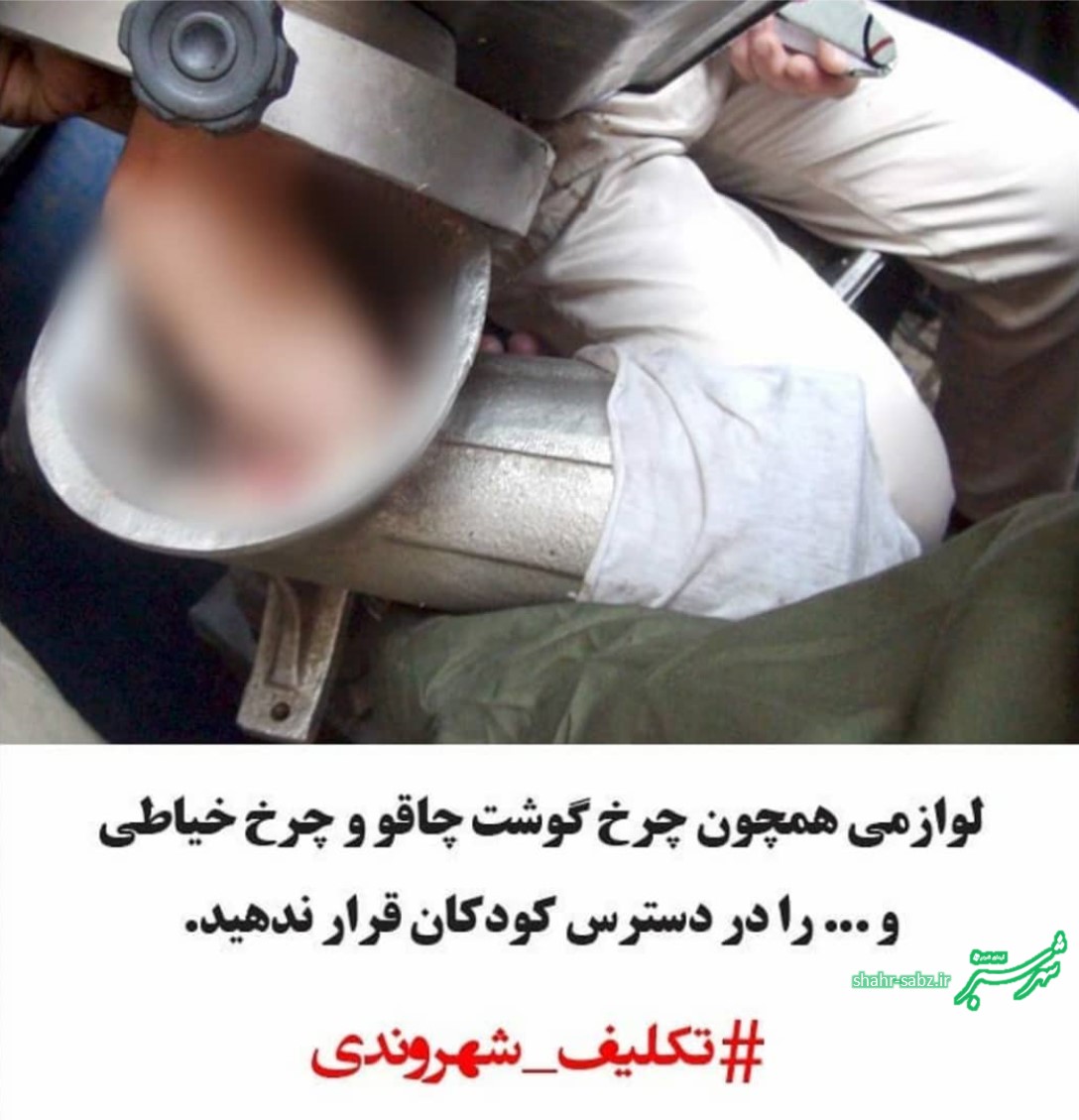 تکلیف شهروندی: چرخ گوشت