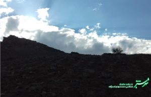 پاییزان شیراز/ عکس: محمدمهدی اسدزاده