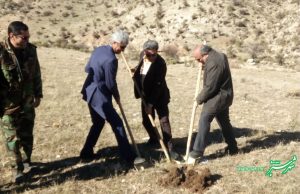 اجرای طرح غنی سازی بیولوژیک جهت کاشت بذر ۲۱۰ هکتار جنگل منطقه پیرشکفت