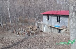 خانه در خزان/ پاییز/ عکس: فاطمه احمدیان