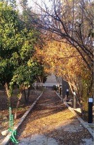 سبز و زرد طبیعت/ پاییز/ عکس: فاطمه احمدیان