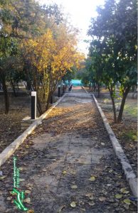 سبز و زرد طبیعت/ پاییز/ عکس: فاطمه احمدیان